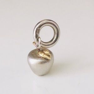 Story Apple Charm Retired in Solid Sterling Silver